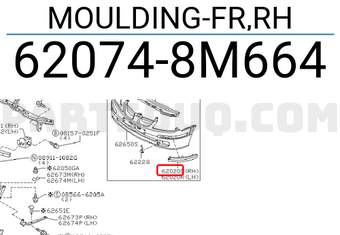 Nissan 620748M664 MOULDING-FR,RH