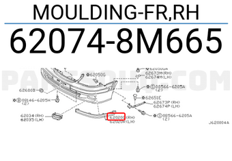 Nissan 620748M665 MOULDING-FR,RH