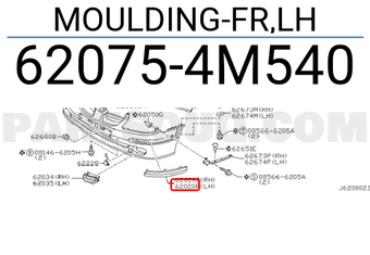Nissan 620754M540 MOULDING-FR,LH