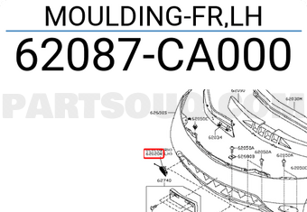Nissan 62087CA000 MOULDING-FR,LH