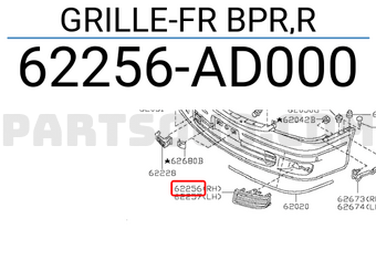Nissan 62256AD000 GRILLE-FR BPR,R