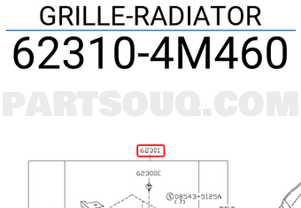 Nissan 623104M460 GRILLE-RADIATOR