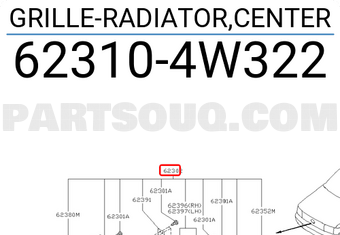 Nissan 623104W322 GRILLE-RADIATOR,CENTER