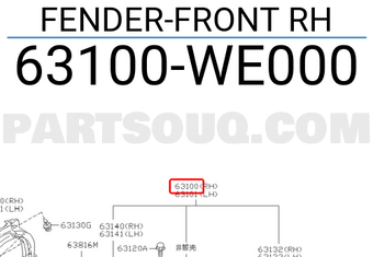 Nissan 63100WE000 FENDER-FRONT RH