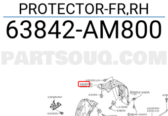 Nissan 63842AM800 PROTECTOR-FR,RH