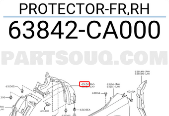 Nissan 63842CA000 PROTECTOR-FR,RH