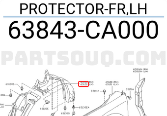 Nissan 63843CA000 PROTECTOR-FR,LH