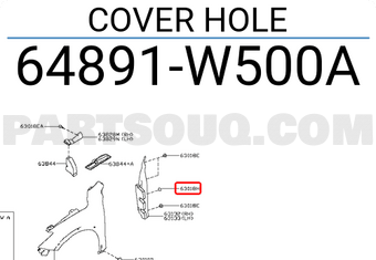 Nissan 64891W500A COVER HOLE
