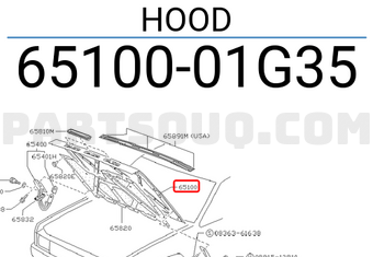 Nissan 6510001G35 HOOD