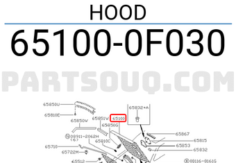 Nissan 651000F030 HOOD