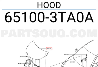 Nissan 651003TA0A HOOD