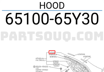 Nissan 6510065Y30 HOOD