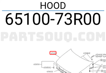Nissan 6510073R00 HOOD