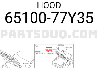 Nissan 6510077Y35 HOOD