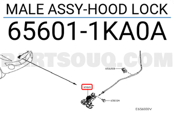 Nissan 656011KA0A MALE ASSY-HOOD LOCK