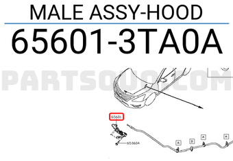 Nissan 656013TA0A MALE ASSY-HOOD