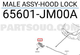 Nissan 65601JM00A MALE ASSY-HOOD LOCK