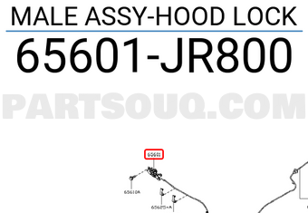 Nissan 65601JR800 MALE ASSY-HOOD LOCK