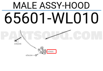 Nissan 65601WL010 MALE ASSY-HOOD