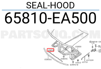 Nissan 65810EA500 SEAL-HOOD