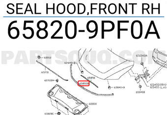 Nissan 658209PF0A SEAL HOOD,FRONT RH