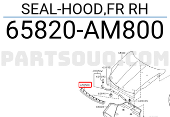 Nissan 65820AM800 SEAL-HOOD,FR RH