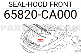 Nissan 65820CA000 SEAL-HOOD FRONT