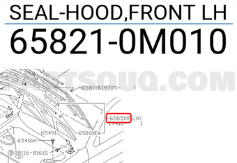 Nissan 658210M010 SEAL-HOOD,FRONT LH