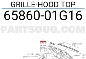 Nissan 6586001G16 GRILLE-HOOD TOP