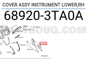 Nissan 689203TA0A COVER ASSY INSTRUMENT LOWER,RH