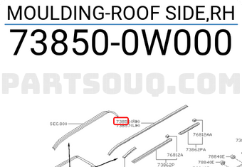 Nissan 738500W000 MOULDING-ROOF SIDE,RH