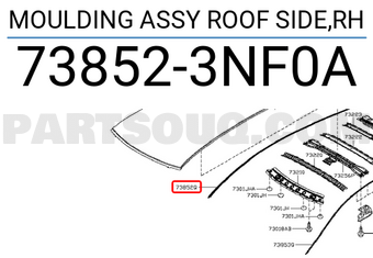 Nissan 738523NF0A MOULDING ASSY ROOF SIDE,RH