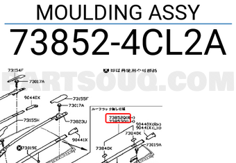 Nissan 738524CL2A MOULDING ASSY