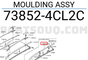 Nissan 738524CL2C MOULDING ASSY