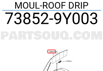 Nissan 738529Y003 MOUL-ROOF DRIP