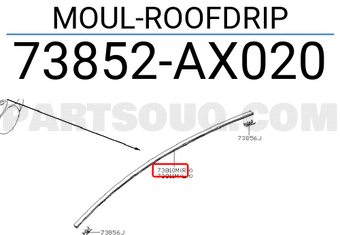 Nissan 73852AX020 MOUL-ROOFDRIP