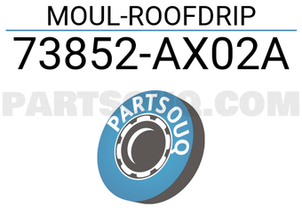 Nissan 73852AX02A MOUL-ROOFDRIP