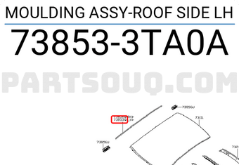 Nissan 738533TA0A MOULDING ASSY-ROOF SIDE LH