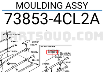 Nissan 738534CL2A MOULDING ASSY