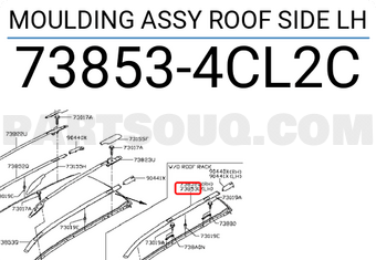 Nissan 738534CL2C MOULDING ASSY ROOF SIDE LH