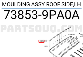 Nissan 738539PA0A MOULDING ASSY ROOF SIDE,LH