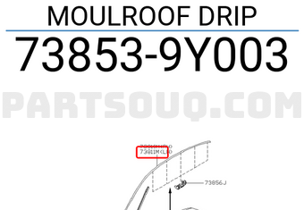 Nissan 738539Y003 MOULROOF DRIP