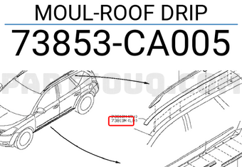 Nissan 73853CA005 MOUL-ROOF DRIP