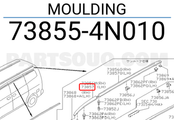 Nissan 738554N010 MOULDING
