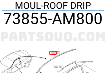 Nissan 73855AM800 MOUL-ROOF DRIP