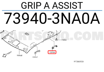 Nissan 739403NA0A GRIP A ASSIST