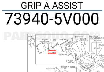 Nissan 739405V000 GRIP A ASSIST