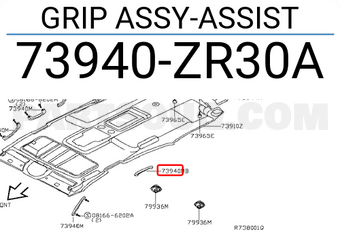 Nissan 73940ZR30A GRIP ASSY-ASSIST