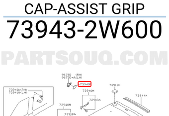 Nissan 739432W600 CAP-ASSIST GRIP