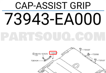 Nissan 73943EA000 CAP-ASSIST GRIP